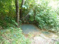 Water at Obubra