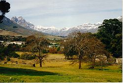 Stellenbosch in Winter